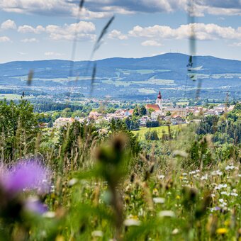 Aussicht von Pinggau in der Oststeiermark | © Oststeiermark Tourismus | flotoanker