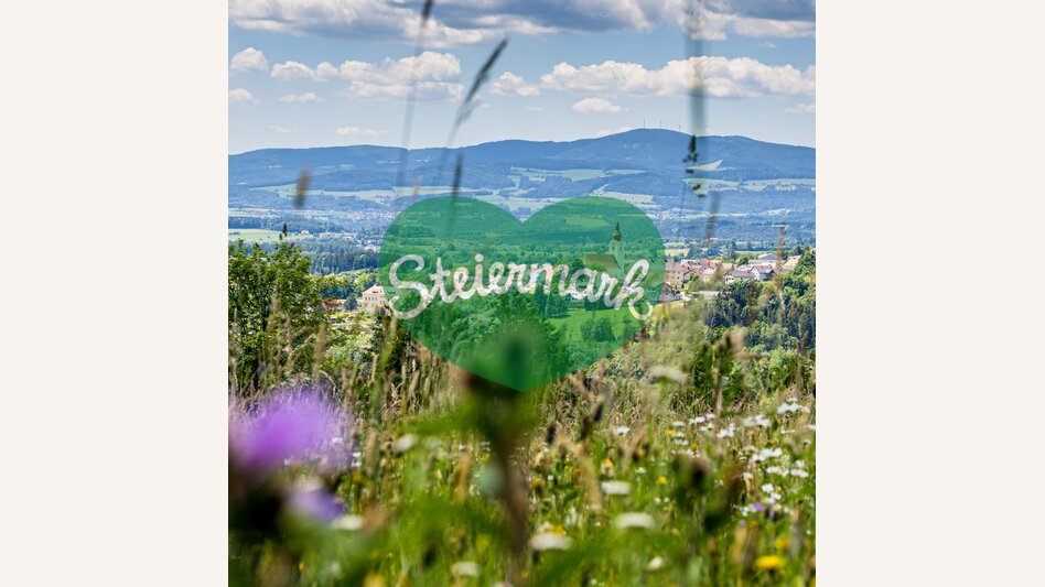 Aussicht von Pinggau in der Oststeiermark | © Oststeiermark Tourismus | flotoanker