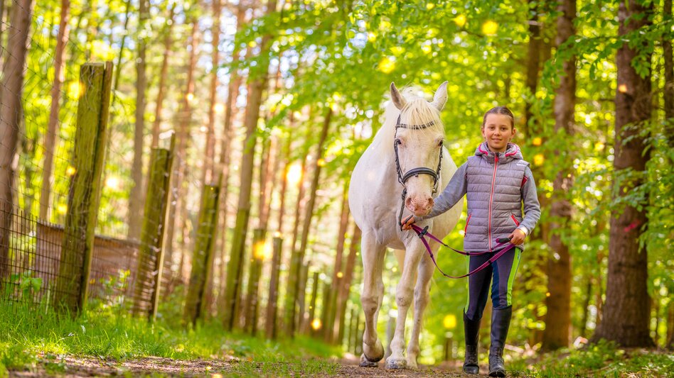 St. Lorenzen am Wechsel - Impression #2.4