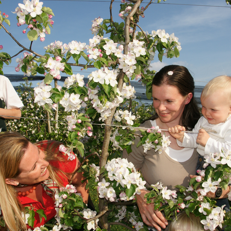 Familie bei der Apfelblüte | © TV Oststeiermark | Walter Schneider