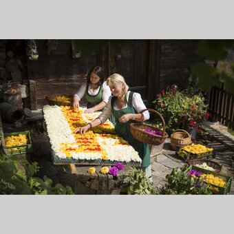 Blumenstecken für den Blumenkorso in der Erlebnisregion Oststeiermark | ©  Oststeiermark Tourismus | Bernhard Bergmann