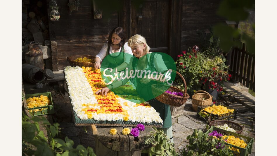 Blumenstecken für den Blumenkorso in der Erlebnisregion Oststeiermark | ©  Oststeiermark Tourismus | Bernhard Bergmann