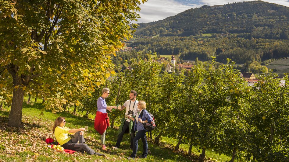 Picknicken entlang der Apfelstraße in der Oststeiermark | © Oststeiermark Tourismus | Bernhard Bergmann