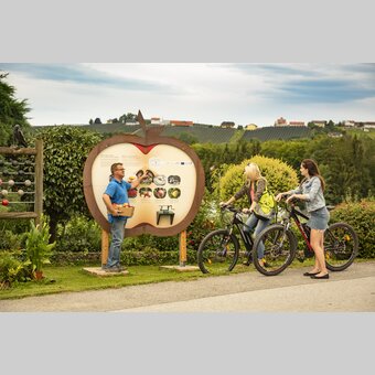 Erlebnisstation beim Obstbau Leitner an der Steirischen Apfelstraße | © Oststeiermark Tourismus | Bernhard Bergmann