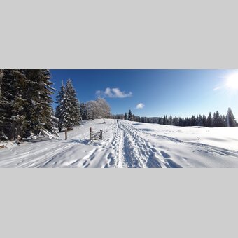 Winterwandern auf der Sommeralm in der Oststeiermark | ©  Oststeiermark Tourismus | Christine Pollhammer