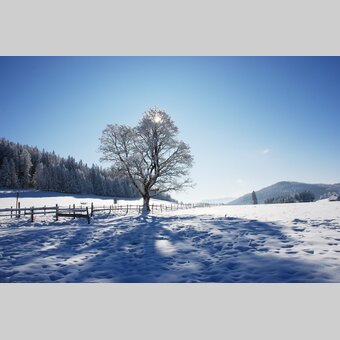 Wintersonne auf der Nechnitz in der Oststeiermark | © Oststeiermark Tourismus | Franz Berghofer