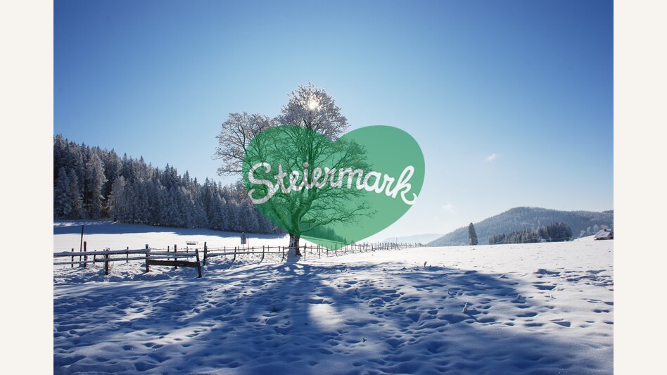 Wintersonne auf der Nechnitz in der Oststeiermark | © Oststeiermark Tourismus | Franz Berghofer