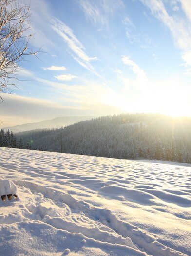 Snowy resting place with a view in the Joglland-Waldheimat in Eastern Styria | ©  Oststeiermark Tourismus | Harry Schiffer