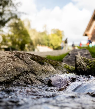 Water mill in Joglland  | © TV Oststeiermark | Joglland-Waldheimat, Klaus Ranger