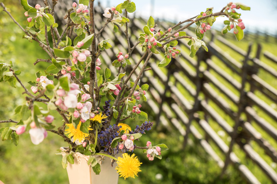 Spring Bouquet in the Almenland Nature Park | © TV Oststeiermark | Bergmann Bernhard
