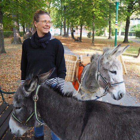 Shopping-Flanier-Tour mit Eseln durch Pöllau  | © Elena Paschinger