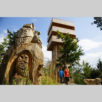 Wandern mit Hund im GERA Park | ©  Oststeiermark Tourismus | Bernhard Bergmann