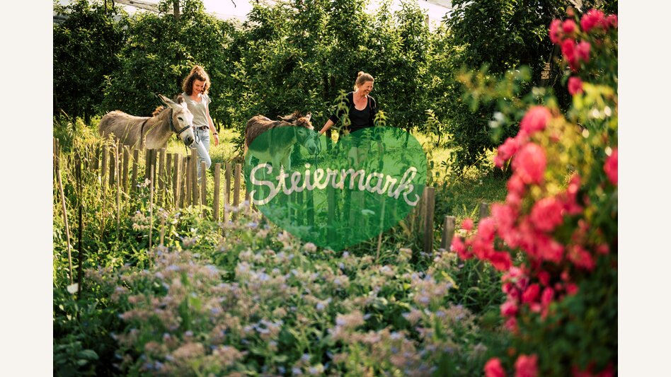Shopping-Flanier-Tour mit Eseln im Naturpark Pöllauer Tal | ©  Oststeiermark Tourismus | Bernhard Bergmann