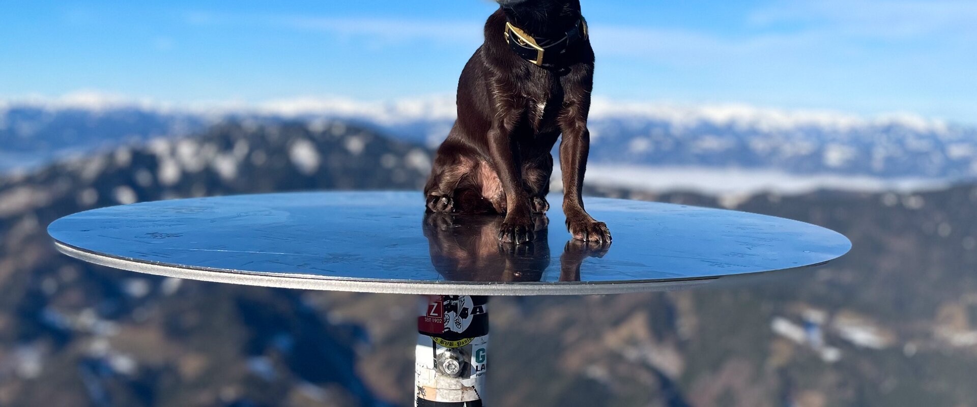 Hiking with a dog on the Hochlantsch | © Oststeiermark Tourismus