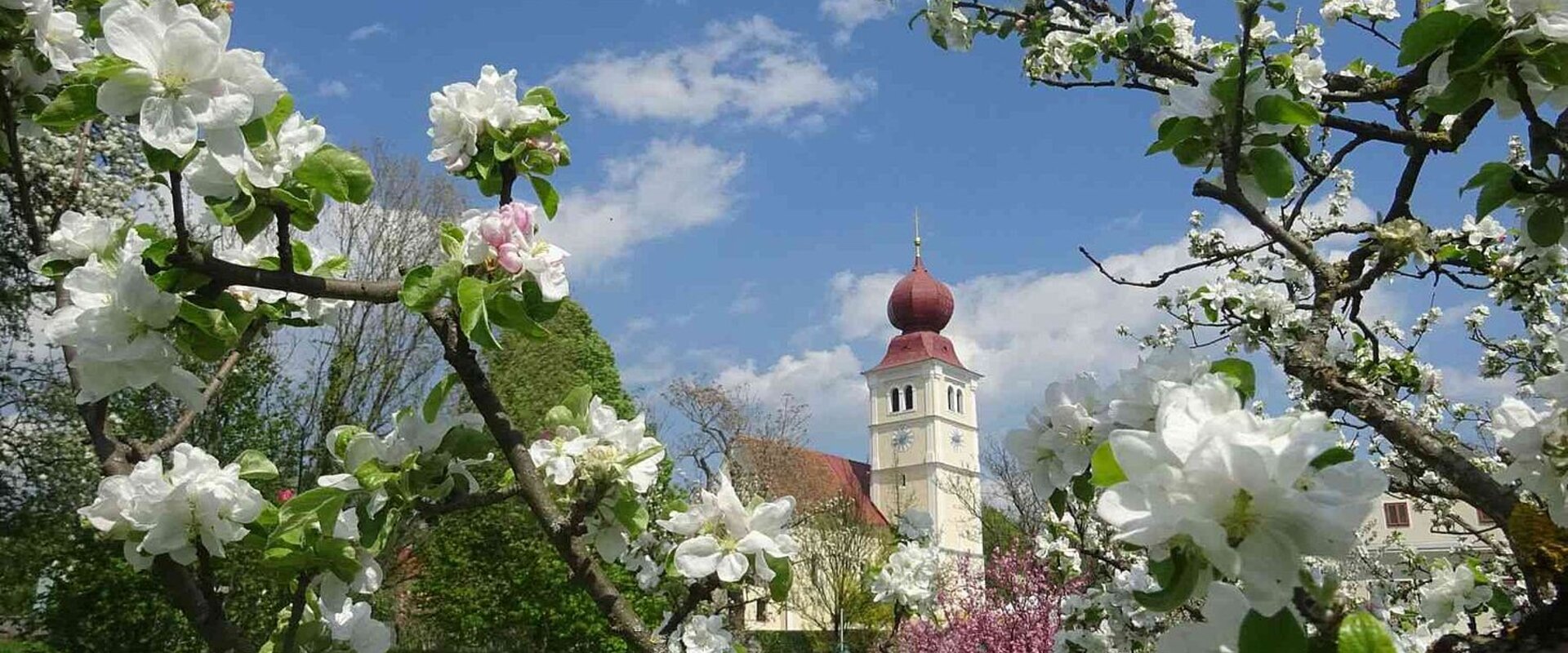 Apple blossom festival on the Styrian Apple Road | © Oststeiermark Tourismus | Walter Schneider
