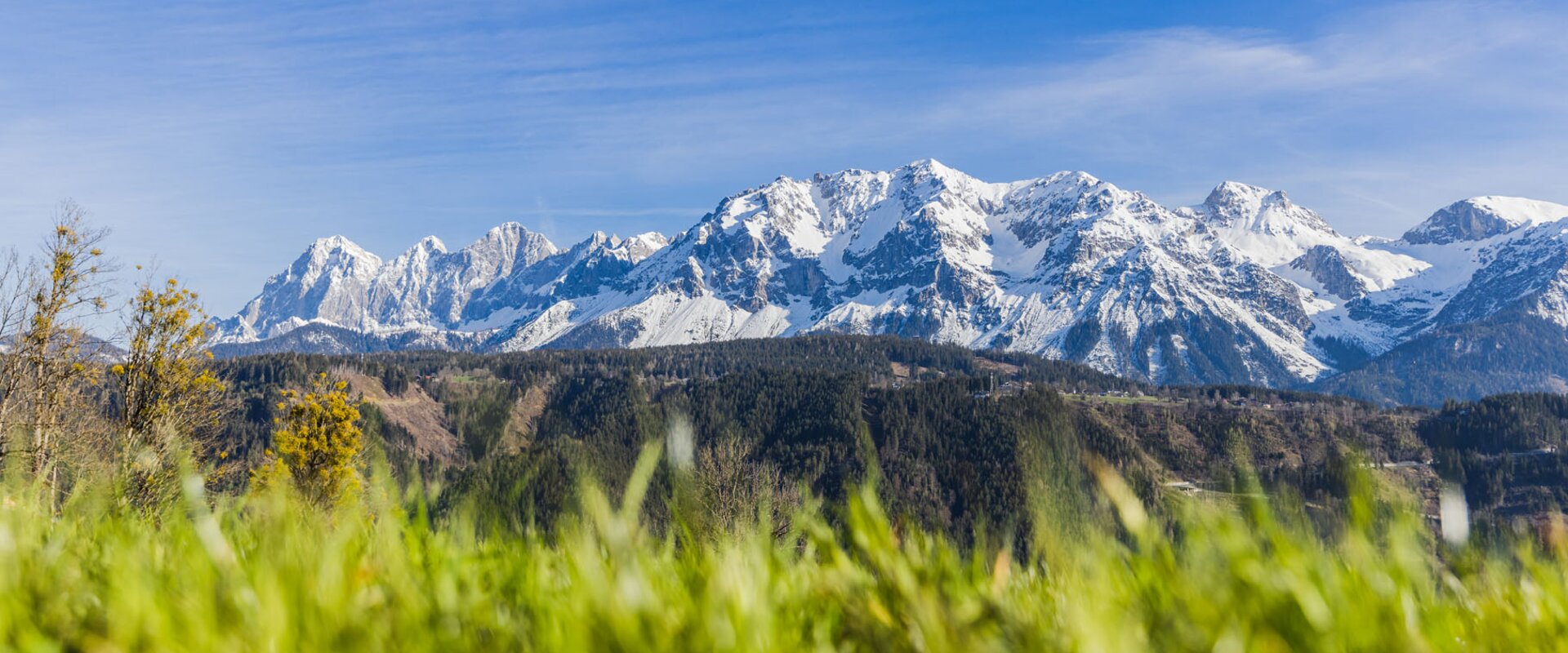 THEMENBILD, Frühling in den Bergen | © (c) Martin Huber - all rights reserved | Martin Huber