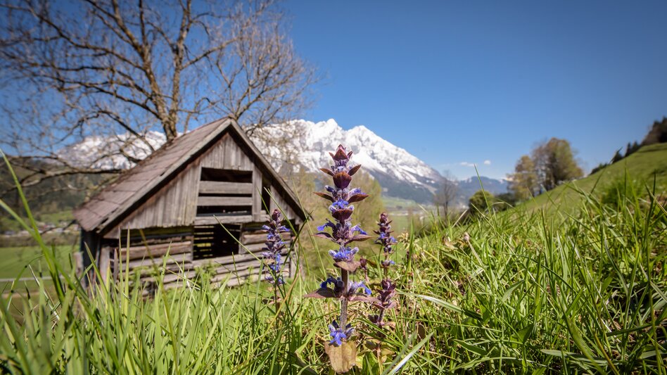 Öblarn - Impression #2.2 | © Christoph Huber