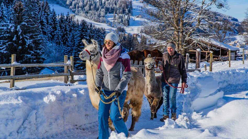 Aich - Impression #2.3