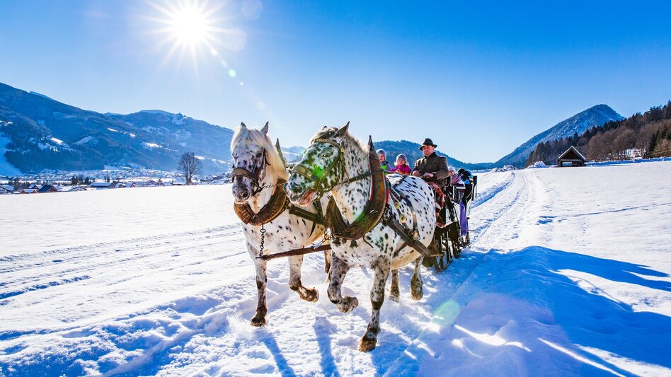 Haus im Ennstal - Impression #2.3