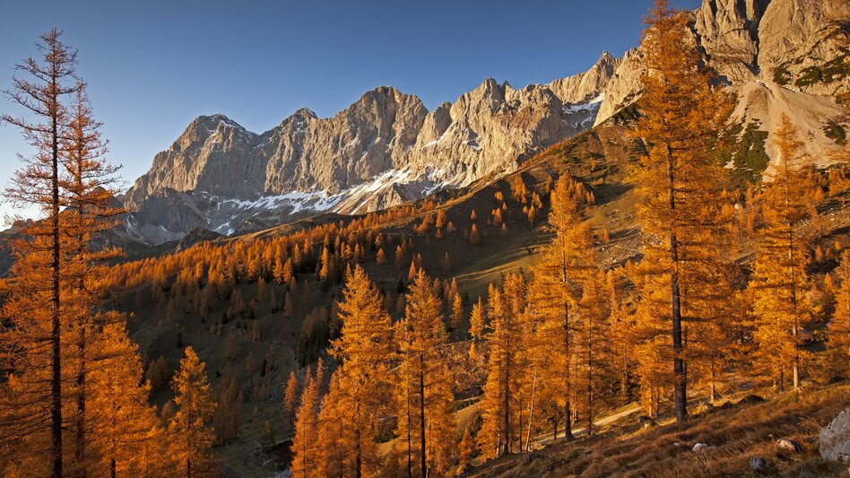Ramsau am Dachstein - Impression #2.5