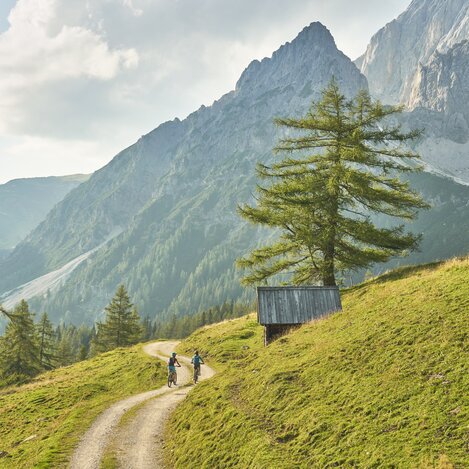 Biken in Schladming-Dachstein | © TVB Schladming-Dachstein | Peter Burgstaller