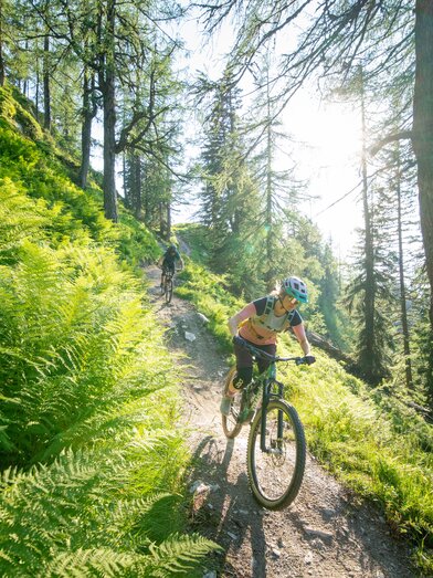 Reiteralm Trails | © TVB Schladming-Dachstein | Christoph Oberschneider | © Schladming-Dachstein / Christoph Oberschneider