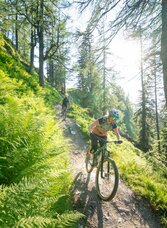 Reiteralm Trails | © Schladming-Dachstein / Christoph Oberschneider