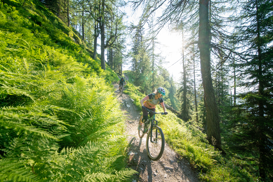Reiteralm Trails | © TVB Schladming-Dachstein | Christoph Oberschneider | © Schladming-Dachstein / Christoph Oberschneider
