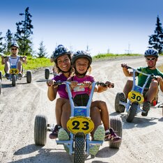 Mountain Gokart Hochwurzen | © Planai-Hochwurzen Bahnen / Tom Lamm