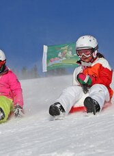 Zipfelbobfahren Ramsau am Dachstein | © Skiregion Ramsau / Hans-Peter Steiner