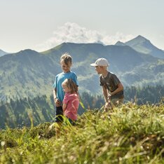 Riesneralm | © Schladming-Dachstein / Peter Burgstaller