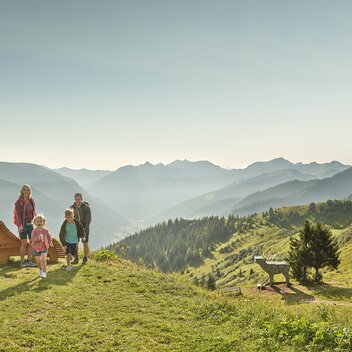 Riesneralm | © Schladming-Dachstein / Peter Burgstaller