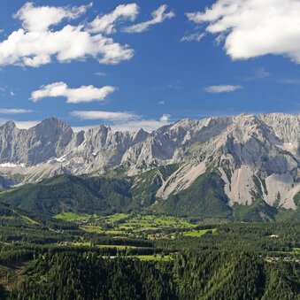 © Hans-Peter Steiner