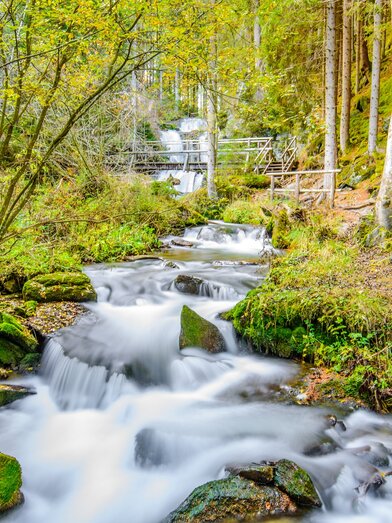 © TV Murau | René Hochegger