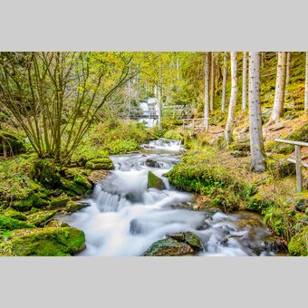 Graggerschlucht Bachlauf Kaskadenwasserfall | © TV Murau | René Hochegger