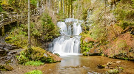 © TV Murau | René Hochegger