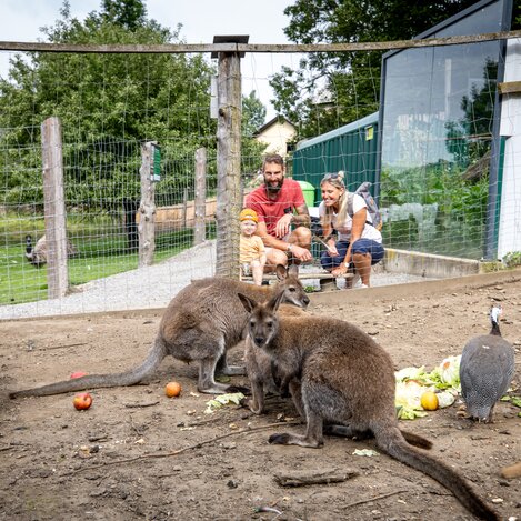 © TV Murau | Tom Lamm