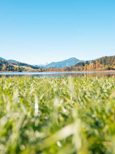 © TV Murau | René Hochegger