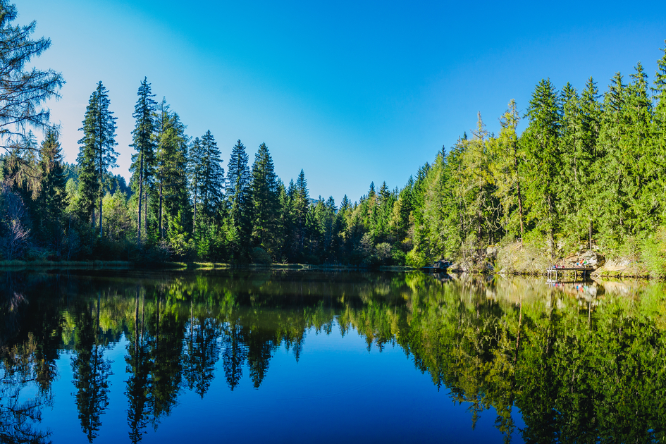 © TV Murau | Mediadome