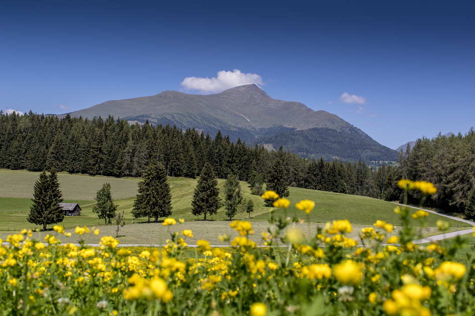 © Holzwelt Murau |  Tom Lamm