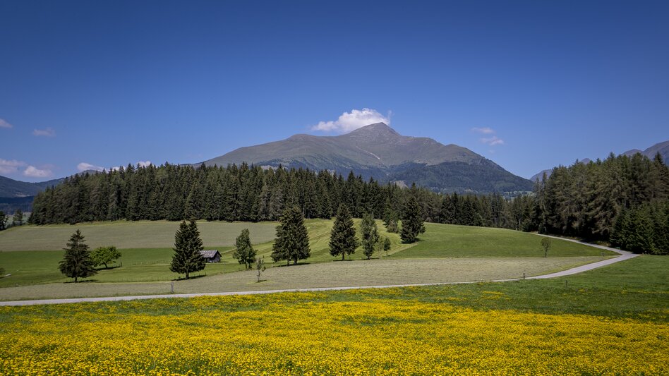 © Holzwelt Murau | Tom Lamm