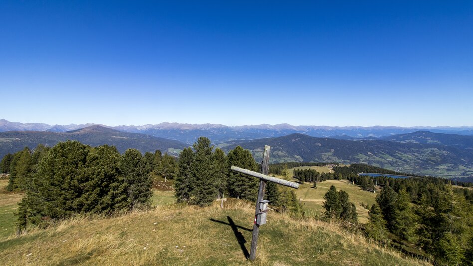 © Holzwelt Murau |  Tom Lamm