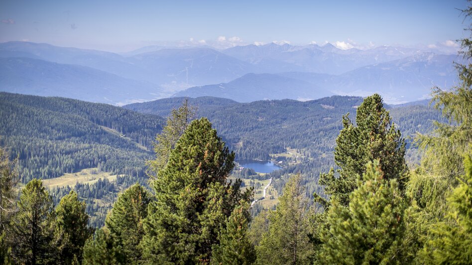Prebersee | © Holzwelt Murau | Tom Lamm