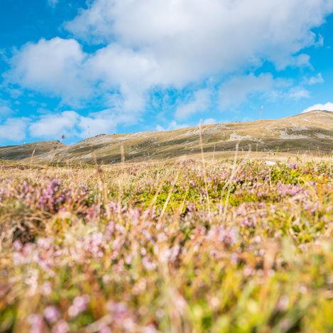 Blick Zirbitzkogel | © TV Murau | René Hochegger