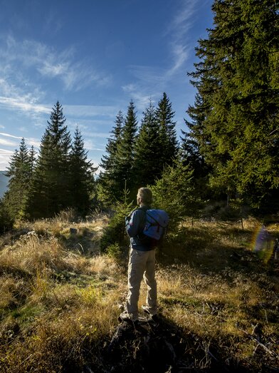 Wandertour: Vom Gletscher zum Wein (bei xxx)  | © Steiermark Tourismus | ikarus.cc
