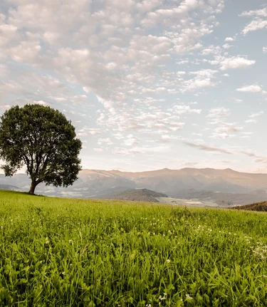 © TV Murau | René Hochegger