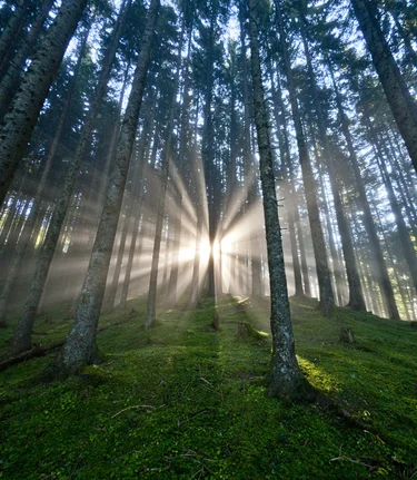 © Steiermark Tourismus | ikarus.cc