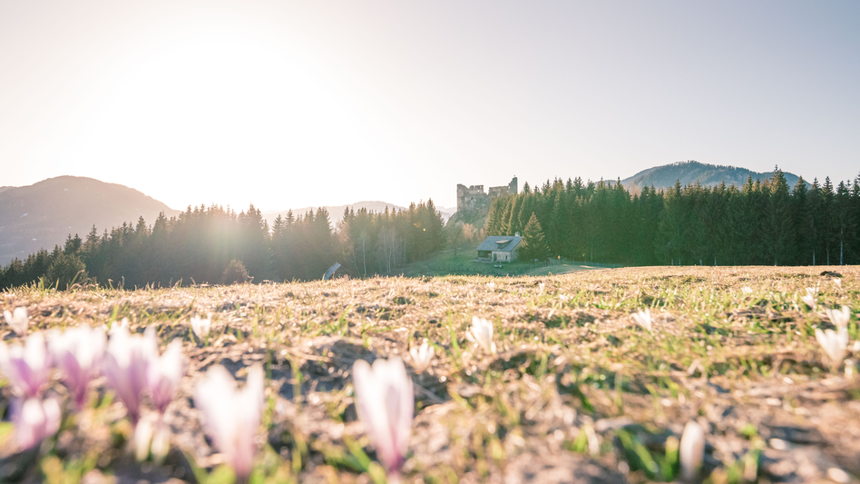 © TV Murau |  René Hochegger