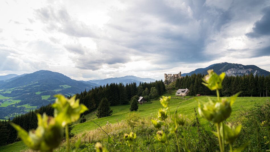 Highlander Austria Murau 2020-08-27 | © marygoodfoto.com | mag.maria wawrzyniak