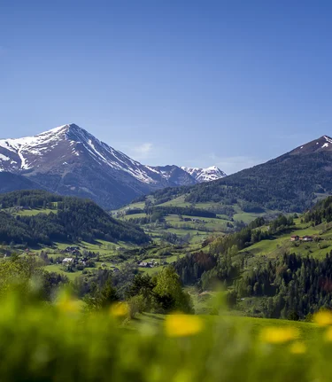 Blick auf die Berge | © TV Murau | Tom Lamm